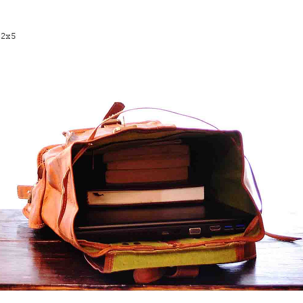 Rhinoland Signature Executive Backpack